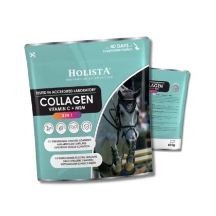 Holista kolagen 3w1 Vit C + MSM 600 g - wzmocnienie struktury ścięgien i stawów