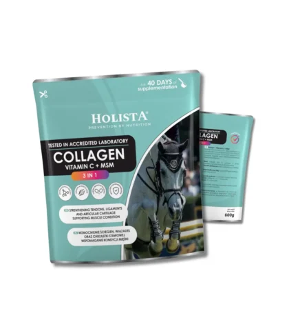 Holista kolagen 3w1 Vit C + MSM 600 g - wzmocnienie struktury ścięgien i stawów