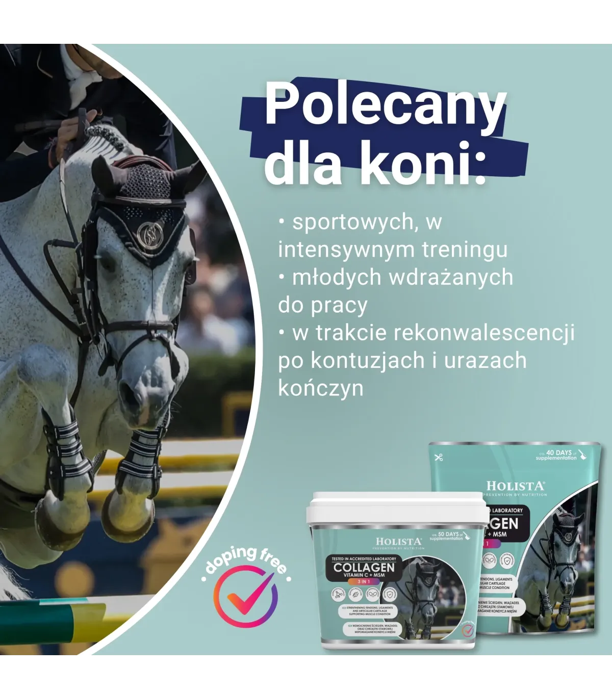 Holista kolagen 3w1 Vit C + MSM 600 g - wzmocnienie struktury ścięgien i stawów-dla kogo