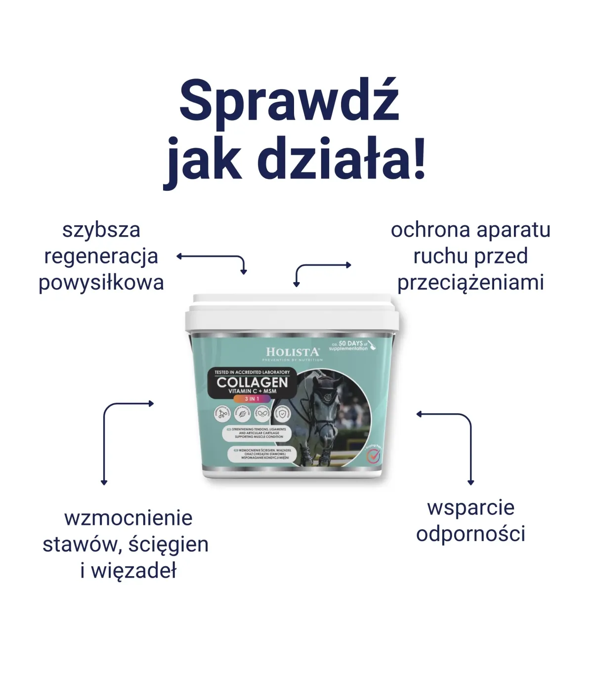 Holista kolagen 3w1 Vit C + MSM 600 g - wzmocnienie struktury ścięgien i stawów-działanie