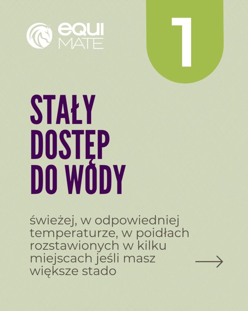 6 sposobów na nawodnienie konia w trakcie upałów - dostęp do wody