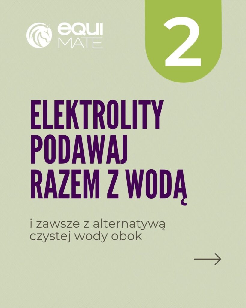 6 sposobów na nawodnienie konia w trakcie upałów - elektrolity