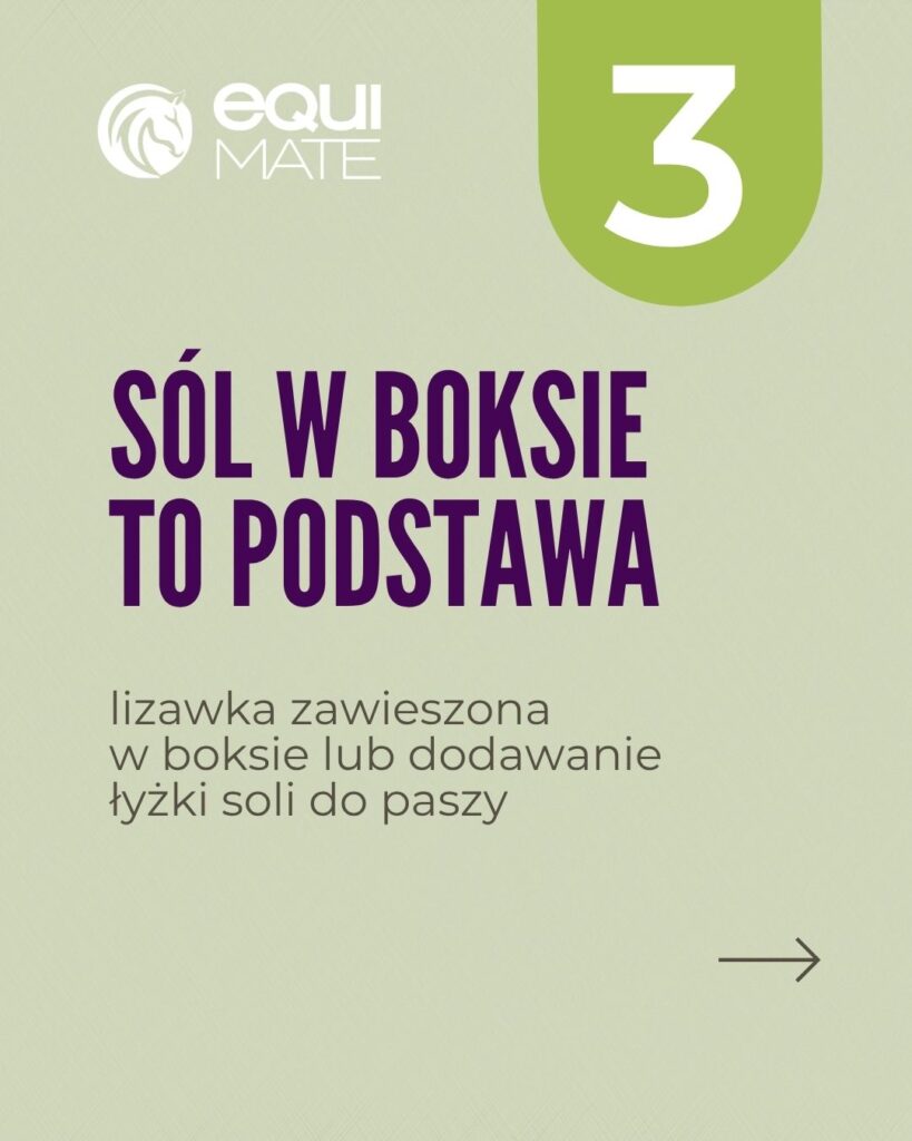 6 sposobów na nawodnienie konia w trakcie upałów - sól w boksie