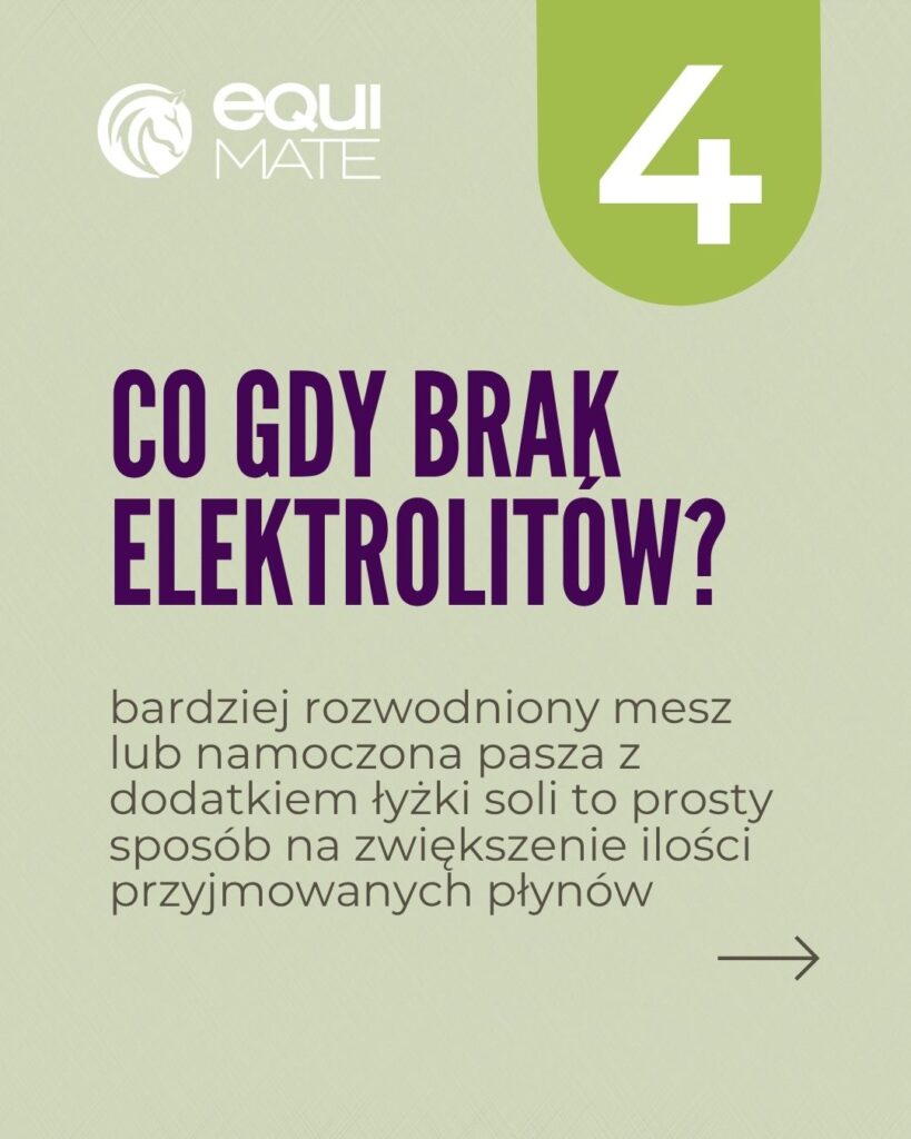 6 sposobów na nawodnienie konia w trakcie upałów - co zamiast elektrolitów