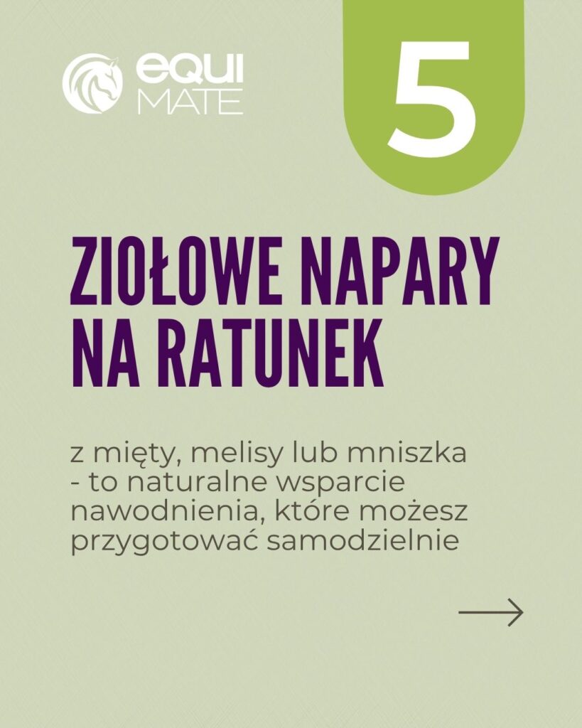 6 sposobów na nawodnienie konia w trakcie upałów - ziołowe napary