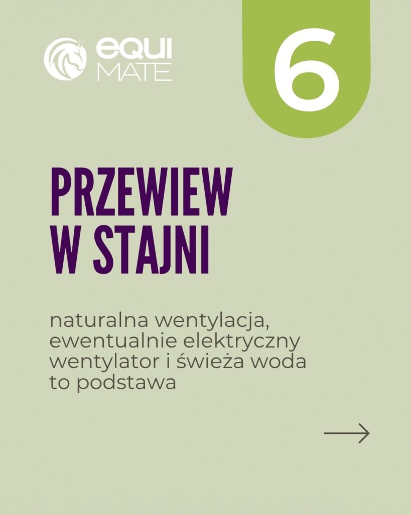 6 sposobów na nawodnienie konia w trakcie upałów - przewiew w stajni