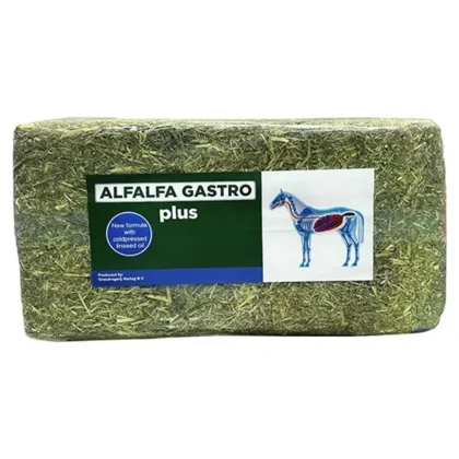 Sieczka ALFALFA Gastro PLUS 18 kg - Lucerna wzbogacona olejem lnianym