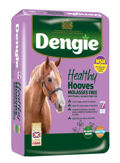Dengie Healthy Hooves Molasses Free MSM 20 kg - sieczka z biotyną i MSM
