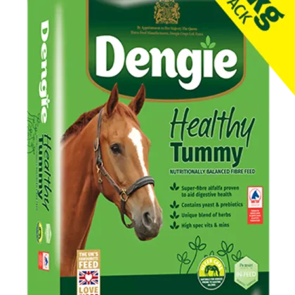 Dengie Healthy Tummy 20 kg - sieczka dla koni wrzodowych