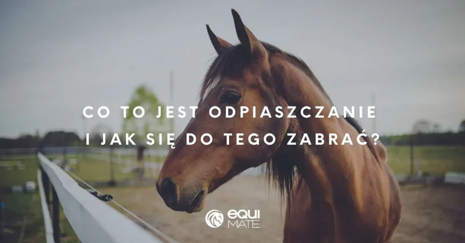Co to jest odpiaszczanie i jak się do tego zabrać?