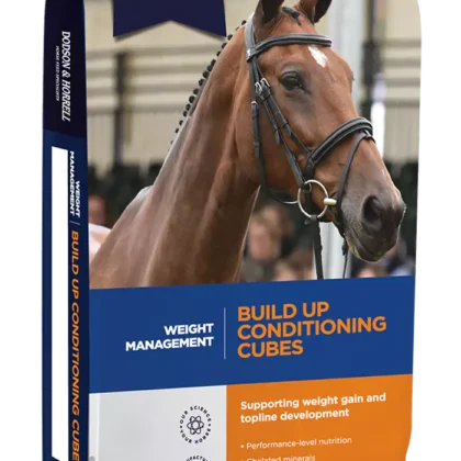 Dodson & Horrell Build Up Cubes 20 kg - pasza dla koni wspierająca przyrost masy mieśniowej