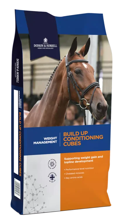 Dodson & Horrell Build Up Cubes 20 kg - pasza dla koni wspierająca przyrost masy mieśniowej