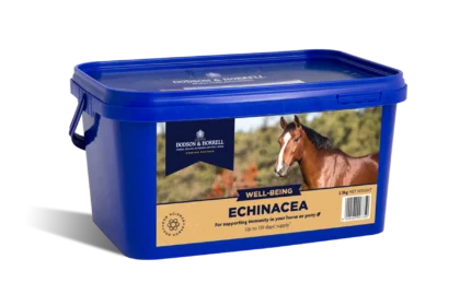 Dodson & Horrell Echinacea 1 kg - suplement dla koni z Echinacea