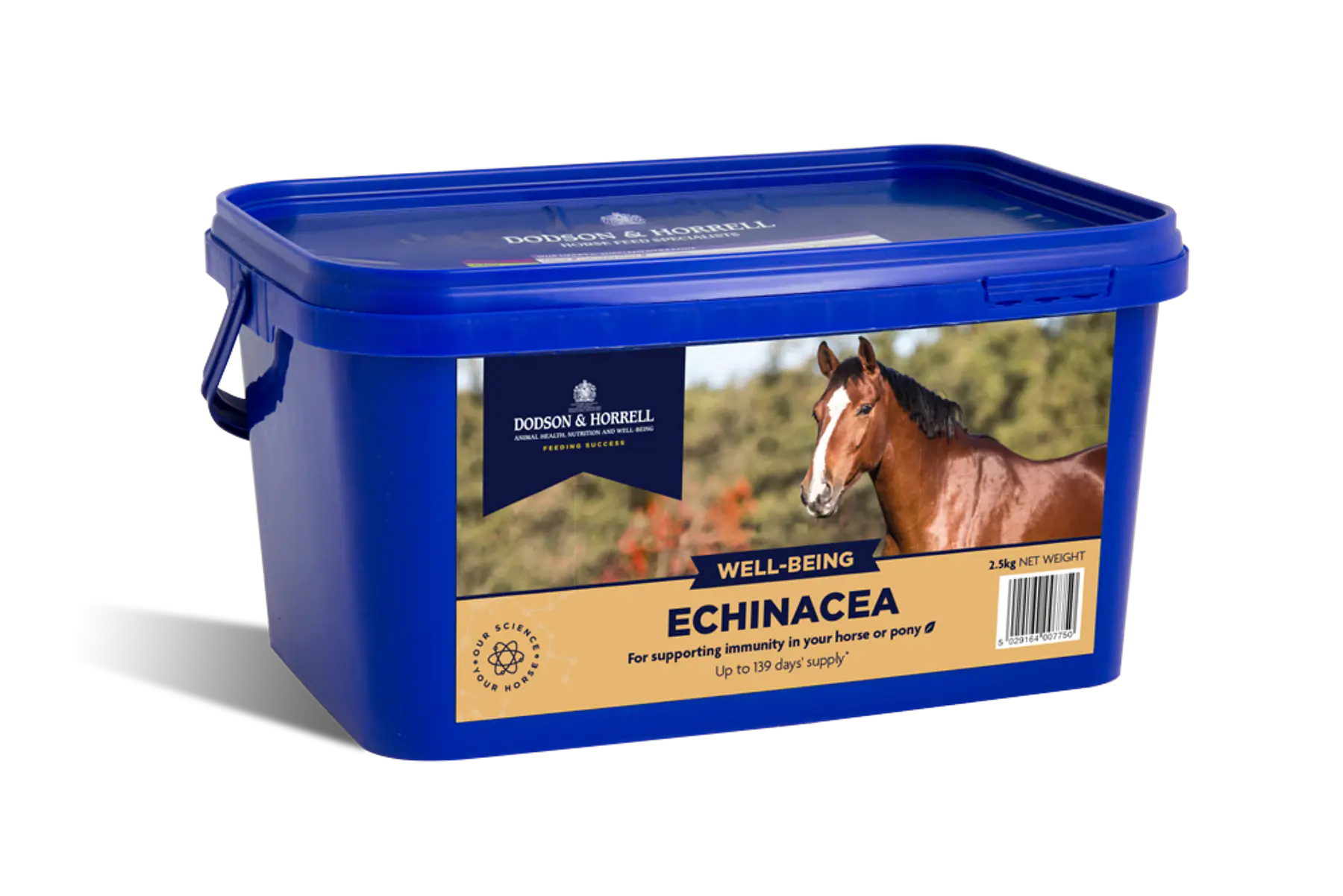 Dodson & Horrell Echinacea 1 kg - suplement dla koni z Echinacea