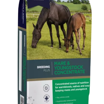 Dodson & Horrell Mare Youngstock Concentrate 20 kg - koncentrat dla koni hodowlanych i młodzieży