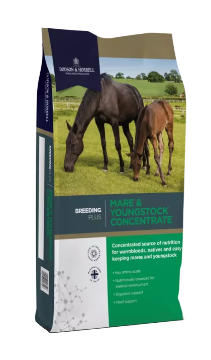 Dodson & Horrell Mare Youngstock Concentrate 20 kg - koncentrat dla koni hodowlanych i młodzieży