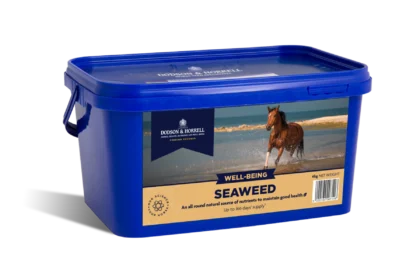 Dodson & Horrell Seaweed 2 kg - suplement dla koni z algami morskimi