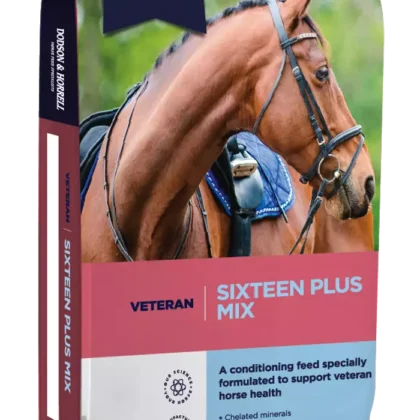 Dodson & Horrell Sixteen Plus Mix 20 kg - pasza dla koni starszych