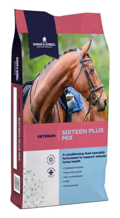 Dodson & Horrell Sixteen Plus Mix 20 kg - pasza dla koni starszych