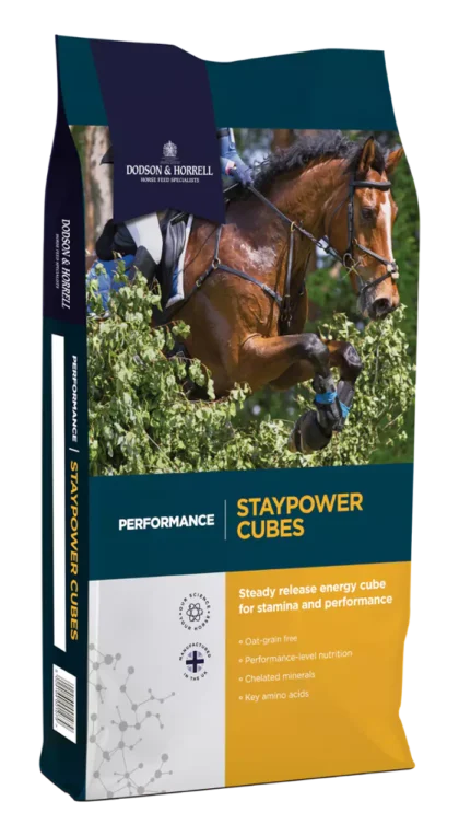 Dodson & Horrell Staypower Cubes