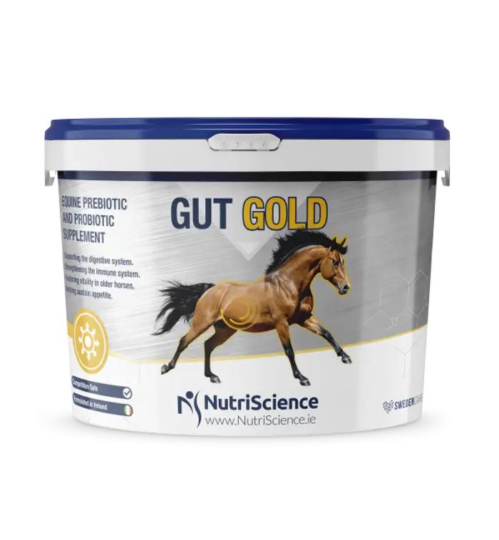 NutriScience Gut Gold 1,2 kg - suplement dla koni zawierający żywe kultury drożdży