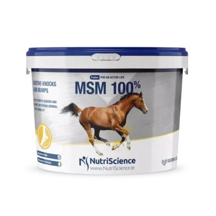 NutriScience MSM 100% 1,5 kg - suplement dla koni wspierający stawy z MSM