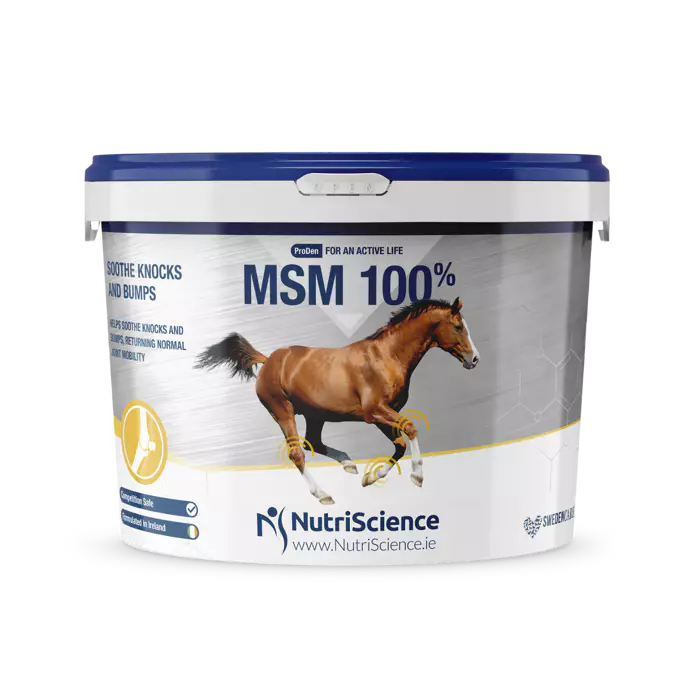 NutriScience MSM 100% 1,5 kg - suplement dla koni wspierający stawy z MSM