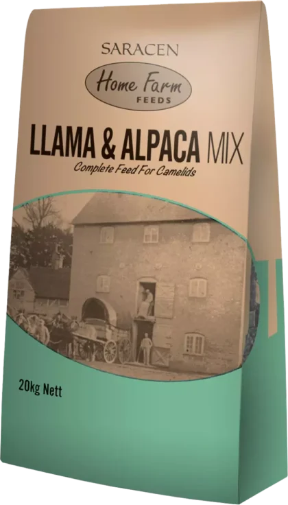 Saracen Llama & Alpaca Maintenance Mix - dla lam i alpak