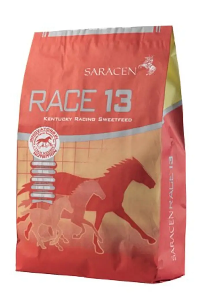 Saracen Race 13 20 kg - pasza dla koni wyścigowych