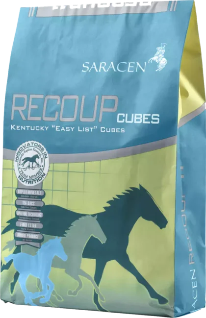 Saracen Recoup Cubes 20 kg - niskoenergetyczna pasza dla koni wyścigowych