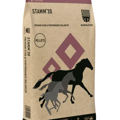 Saracen Stamm 30 Concentrate 20 kg - pasza dla koni wyczynowych i hodowlanych - koncentrat