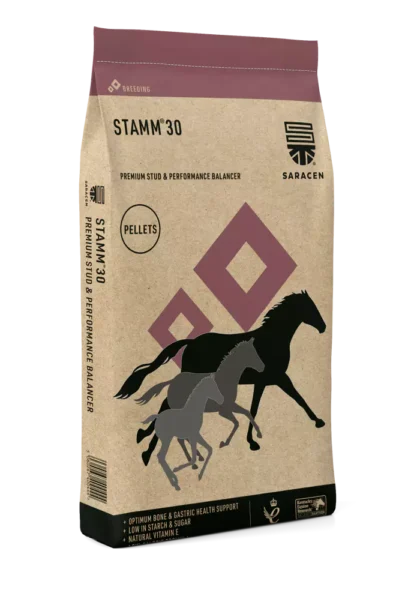 Saracen Stamm 30 Concentrate 20 kg - pasza dla koni wyczynowych i hodowlanych - koncentrat