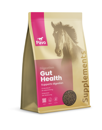 Pavo GutHealth 4,5 kg - zdrowe jelita