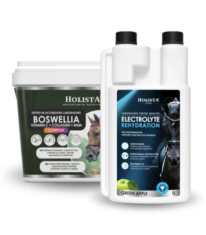 Zestaw Holista Equine Elektrolity i Boswellia - Rehydration 1l + Boswellia Serrata Complex 1000g