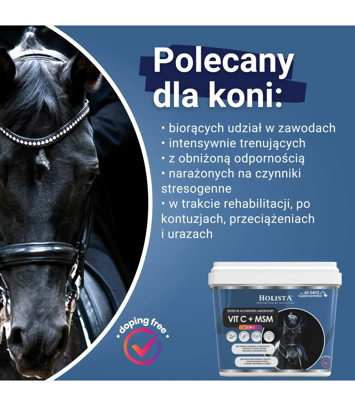 Holista Equine Elektrolity w zestawie - Rehydration 1l + Witamina C + MSM 1000g